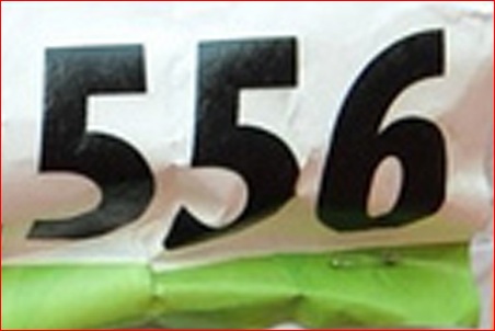 PSCS3450