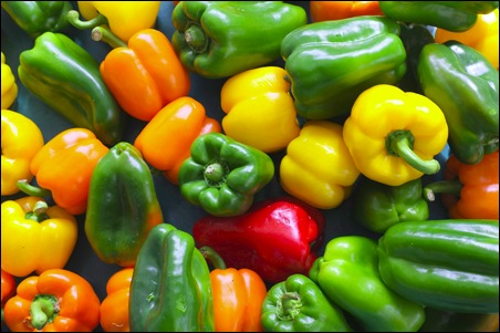 legumes 450